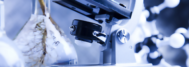 Healthcare & Pharmaceuticals